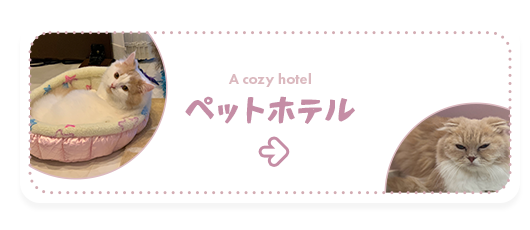 ペットホテル